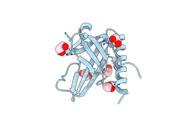 2Y7B image