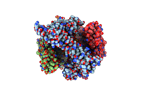 2Y7C image
