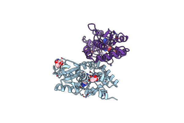 2Y7I image