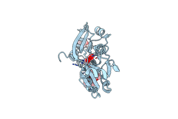 2Y7P image