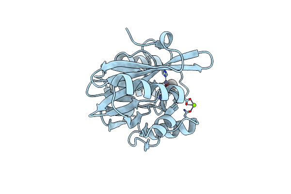 2Y8A image