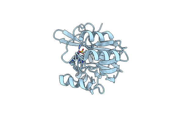 2Y8B image