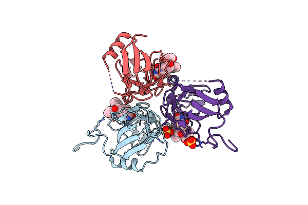 2Y8C image