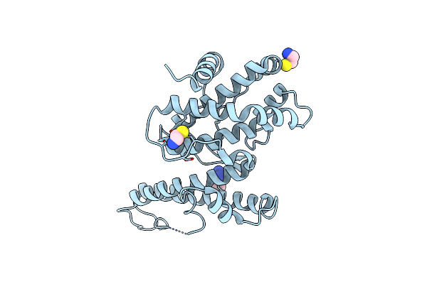 2Y8D image