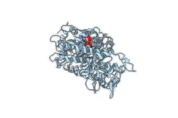 2Y8I image
