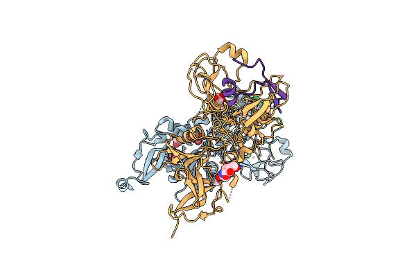2Y8S image