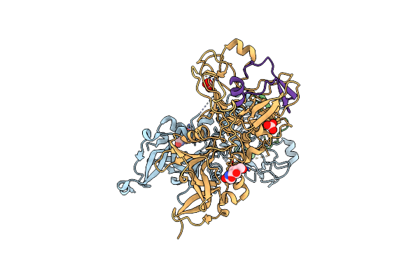 2Y8T image