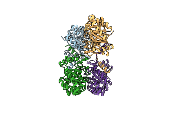 2Y8V image