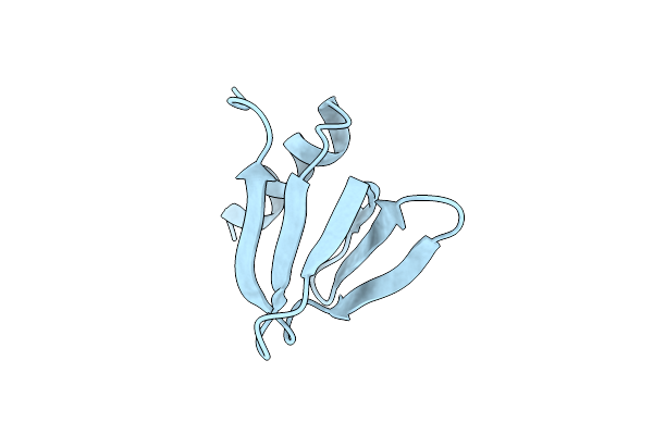 2Y90 image
