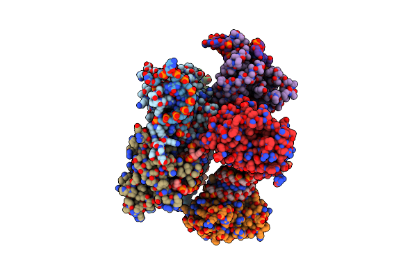 2Y9H image