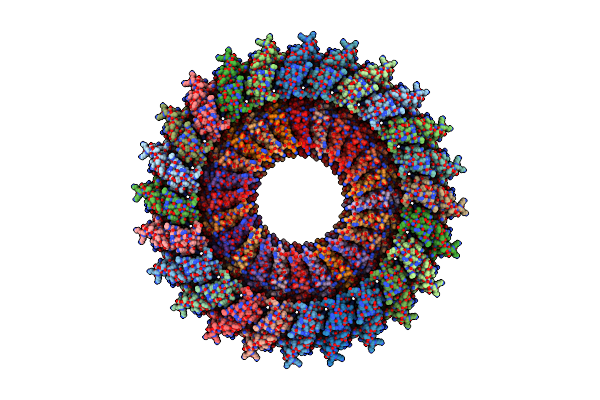 2Y9J image