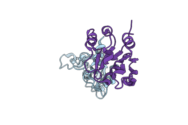 2Y9P image