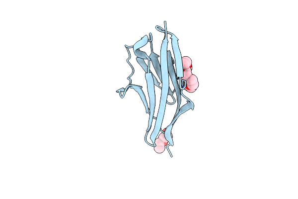 2Y9R image