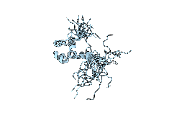 2Y9T image
