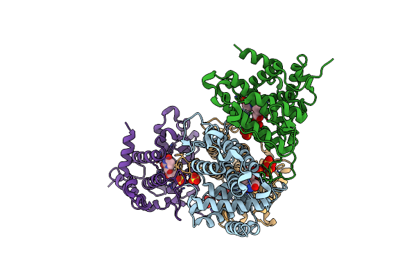 2YB0 image