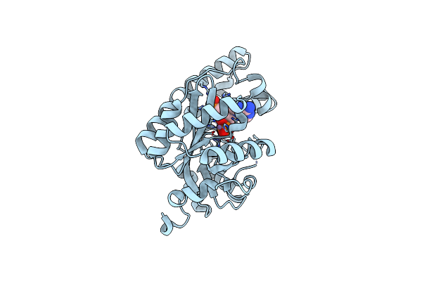 2YB1 image