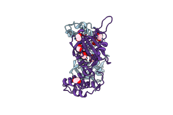 2YB5 image