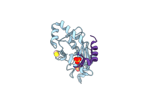 2YBF image