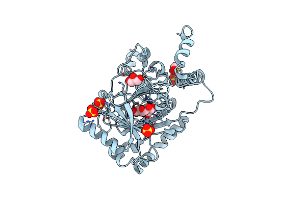 2YC0 image