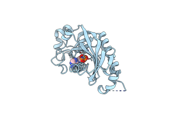 2YDD image