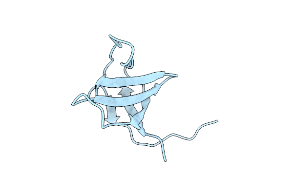 2YDL image