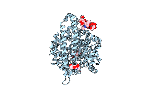 2YDM image