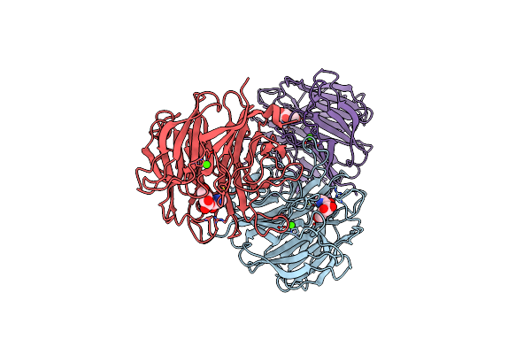 2YDP image
