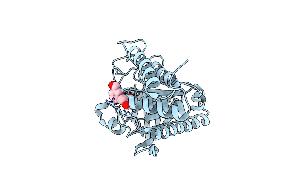 2YDU image