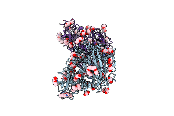 2YEQ image