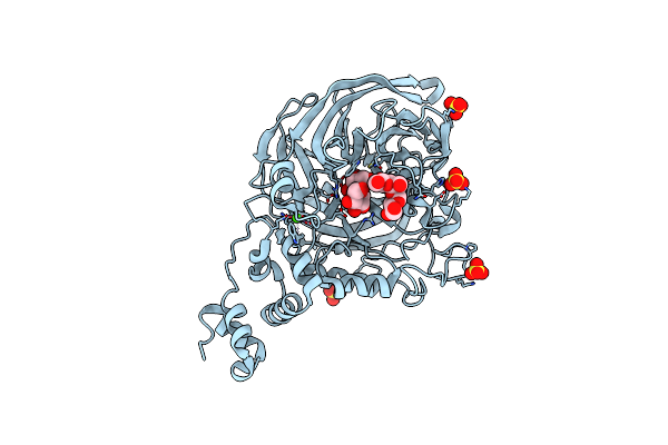 2YFS image