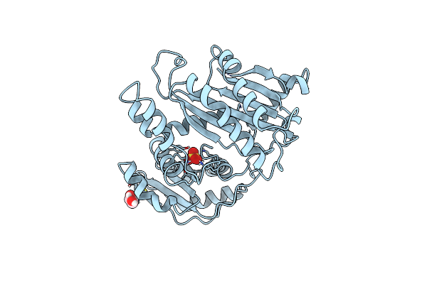 2YHA image