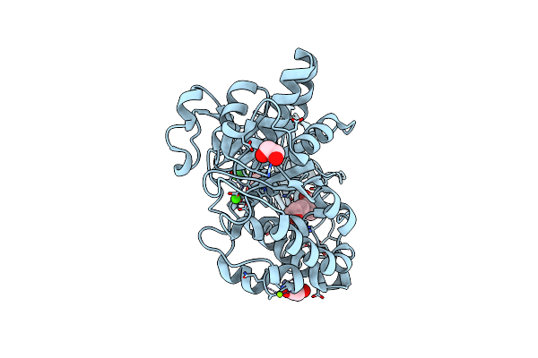 2YHG image