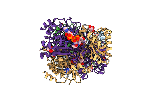 2YIM image