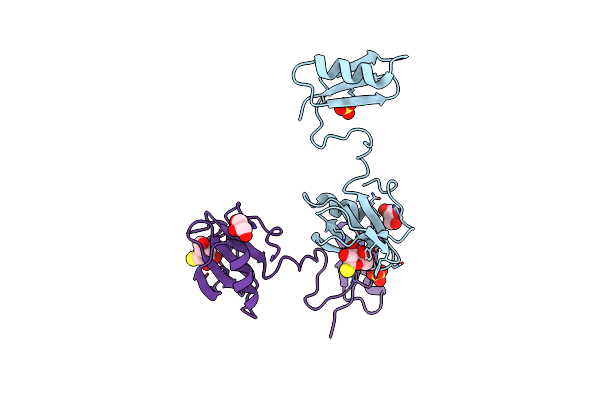 2YIO image