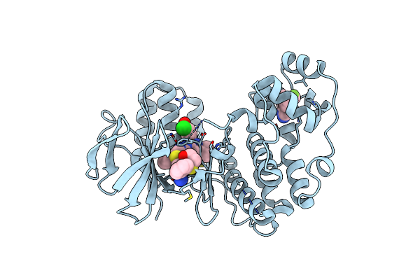 2YIS image
