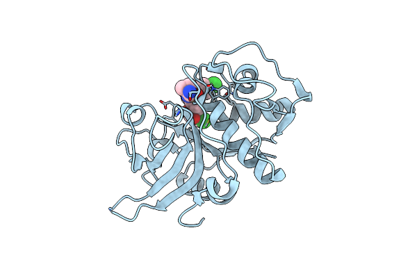 2YJC image
