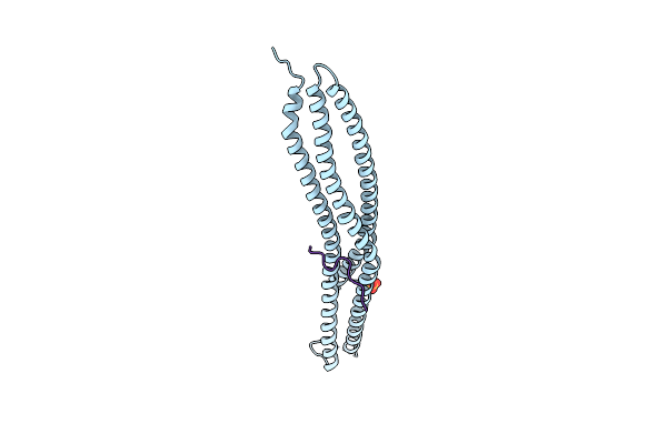 2YKT image