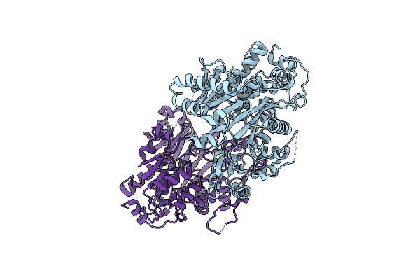 2YL2 image
