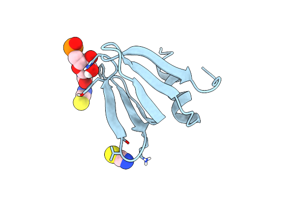 2YLC image