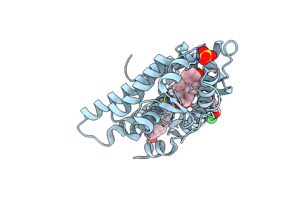 2YLP image