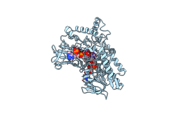 2YLR image