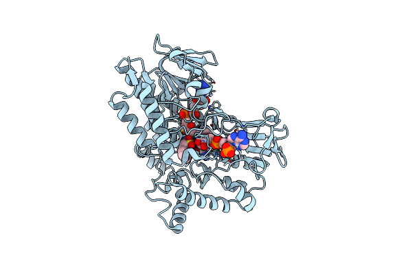 2YLT image
