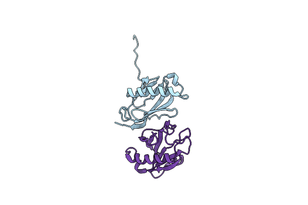 2YMA image