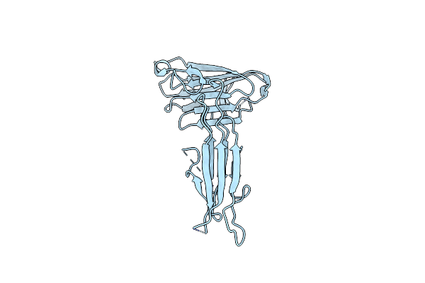 2YMO image