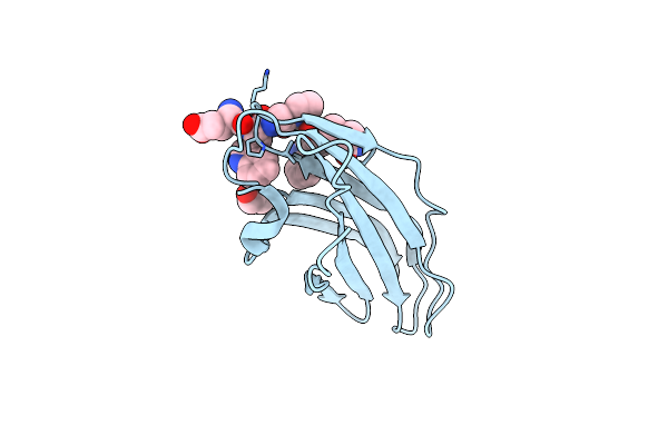 2YMT image