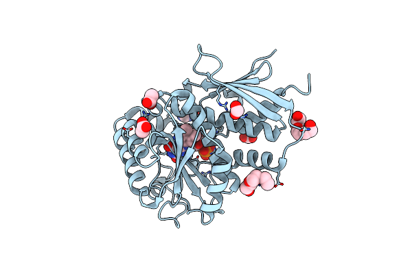 2YMV image