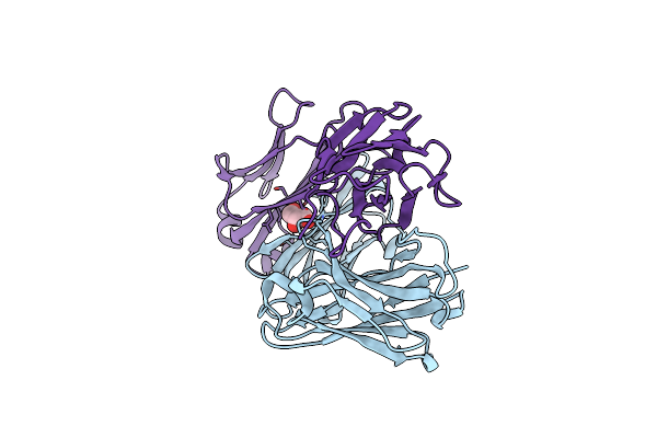 2YMX image