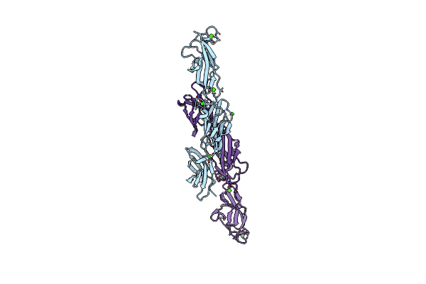 2YN5 image