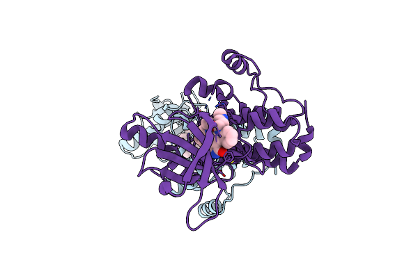 2YN8 image