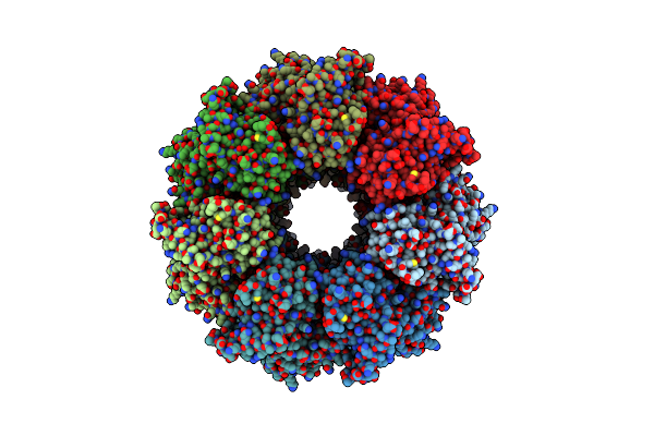 2YNJ image
